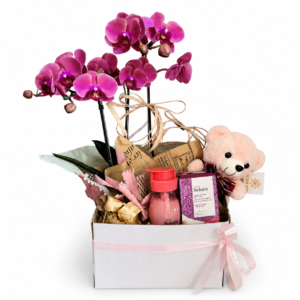 Box Orquídea Todo Dia