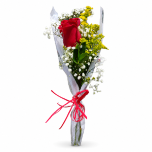 Rosa Vermelha Individual