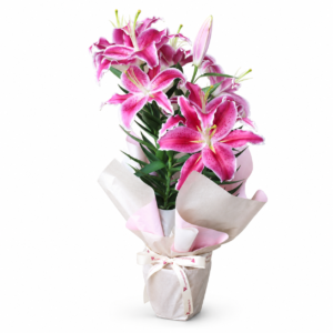 Lírio Rosa Plantado